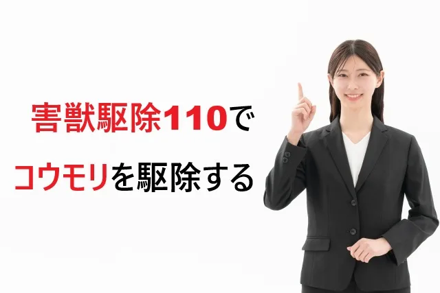 害獣駆除110　コウモリ