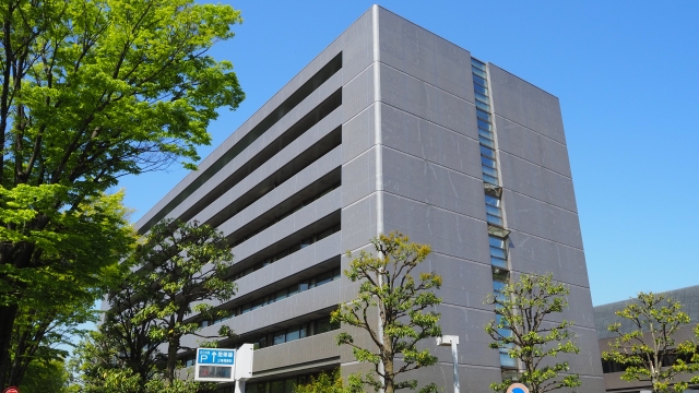 所沢市ハクビシン駆除