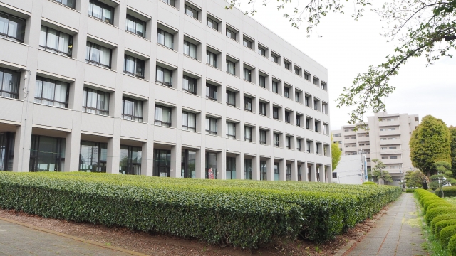 入間市の害獣駆除