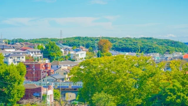 東村山市・清瀬市の害獣被害