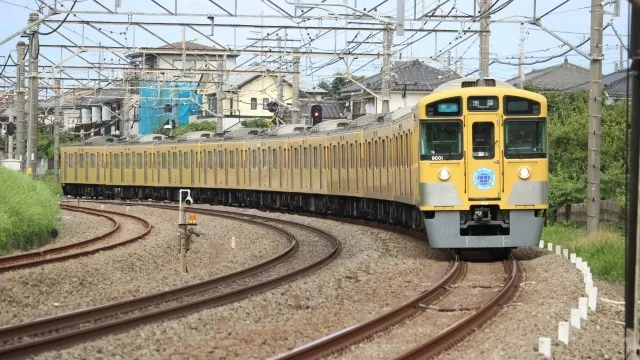 西武線でアライグマ目撃？