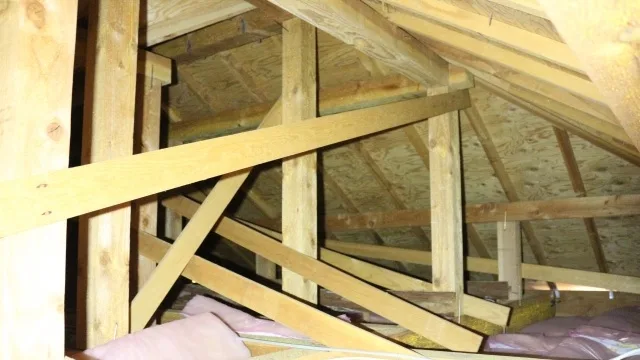 天井裏の音の正体を動物の種類で見分ける