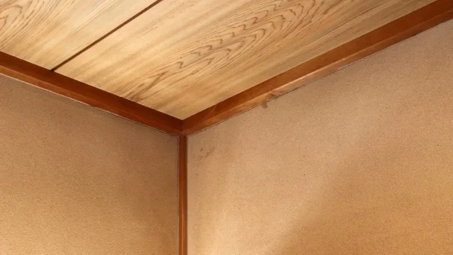 天井裏の音の正体