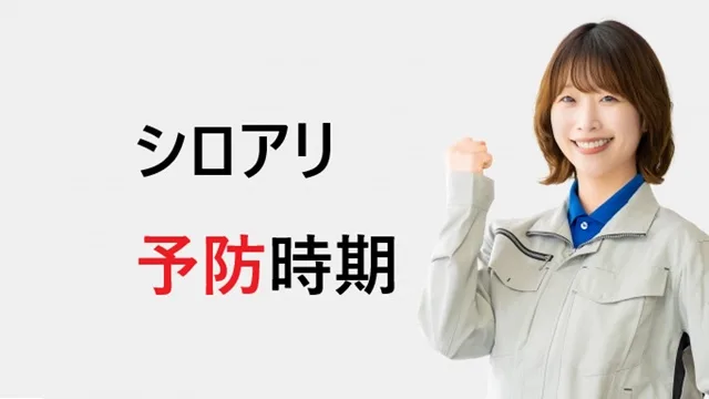 シロアリ予防の時期